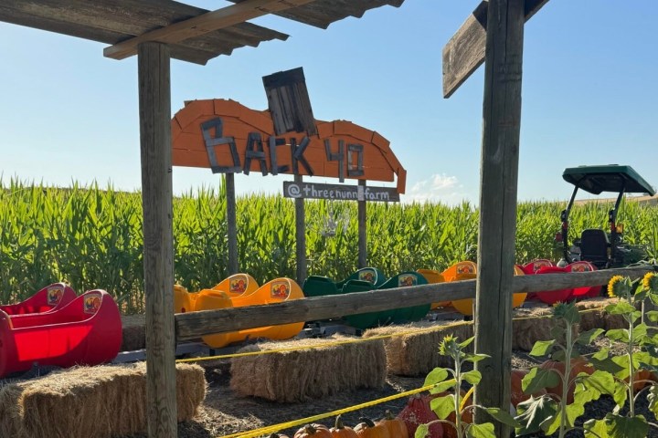 a group of men sitting at a picnic table