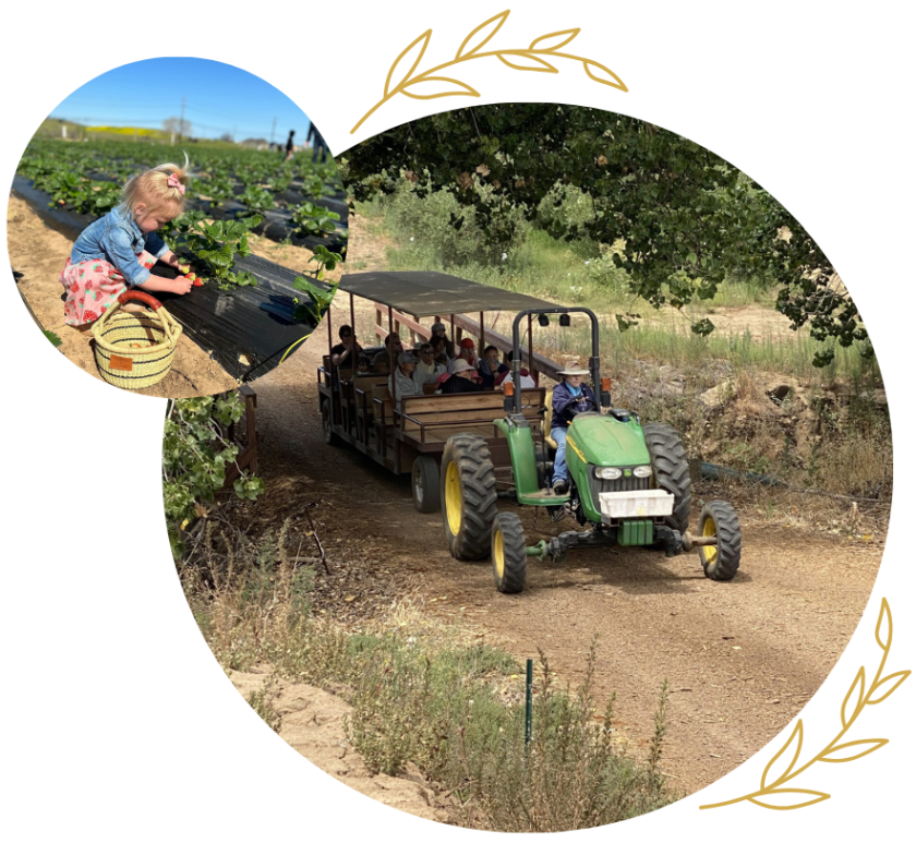 a close up of a truck