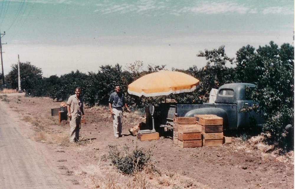 a group of people walking down a dirt road